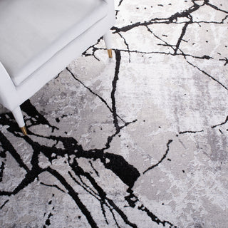 Safavieh Amelia Collection, ALA293 Rug, Grey/Black, 5'5"x7'7"