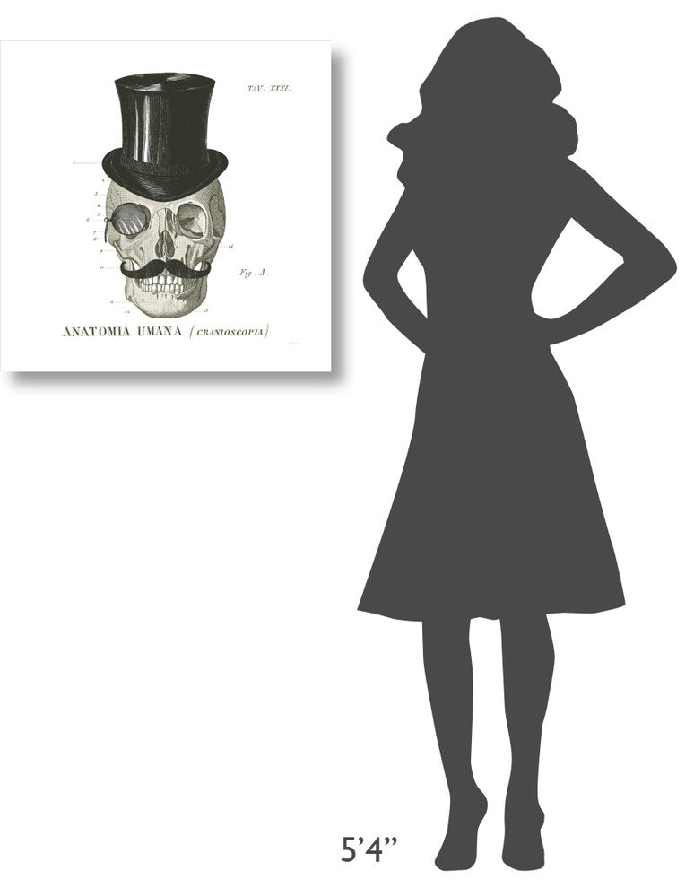 "Dandy Bones I" Digital Paper Print by Sue Schlabach, 26"x26"