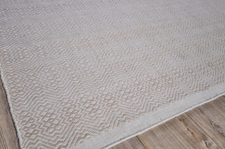 Echo Indoor/Outoor Flatwoven PET yarn Light Beige/Ivory Area Rug