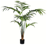 6' Potted Kentia Palm 118 Leaves
