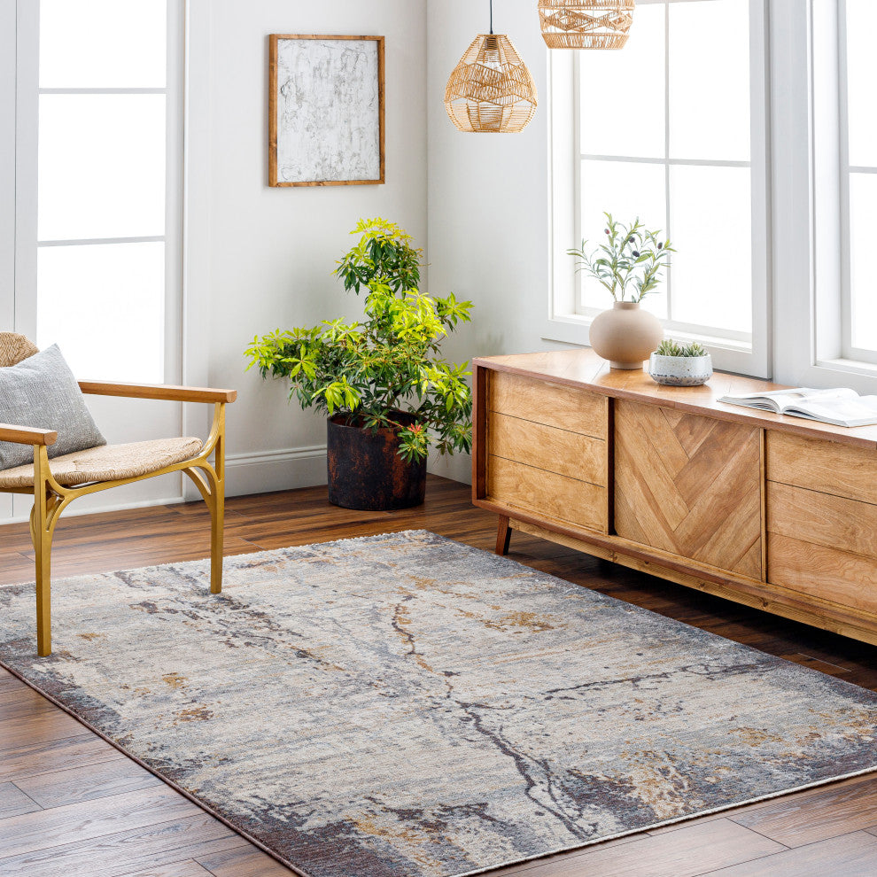 Surya Aida AAD-2302 Machine Woven Area Rug, Beige, 8'10" x 13'