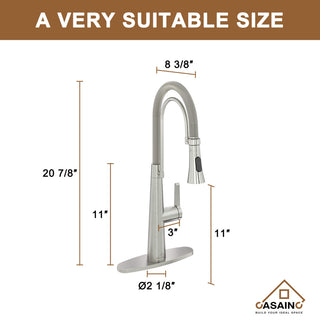 Single-Handle Spring Neck Standard Kitchen Faucet with Dual-Function, Brushed Nickel