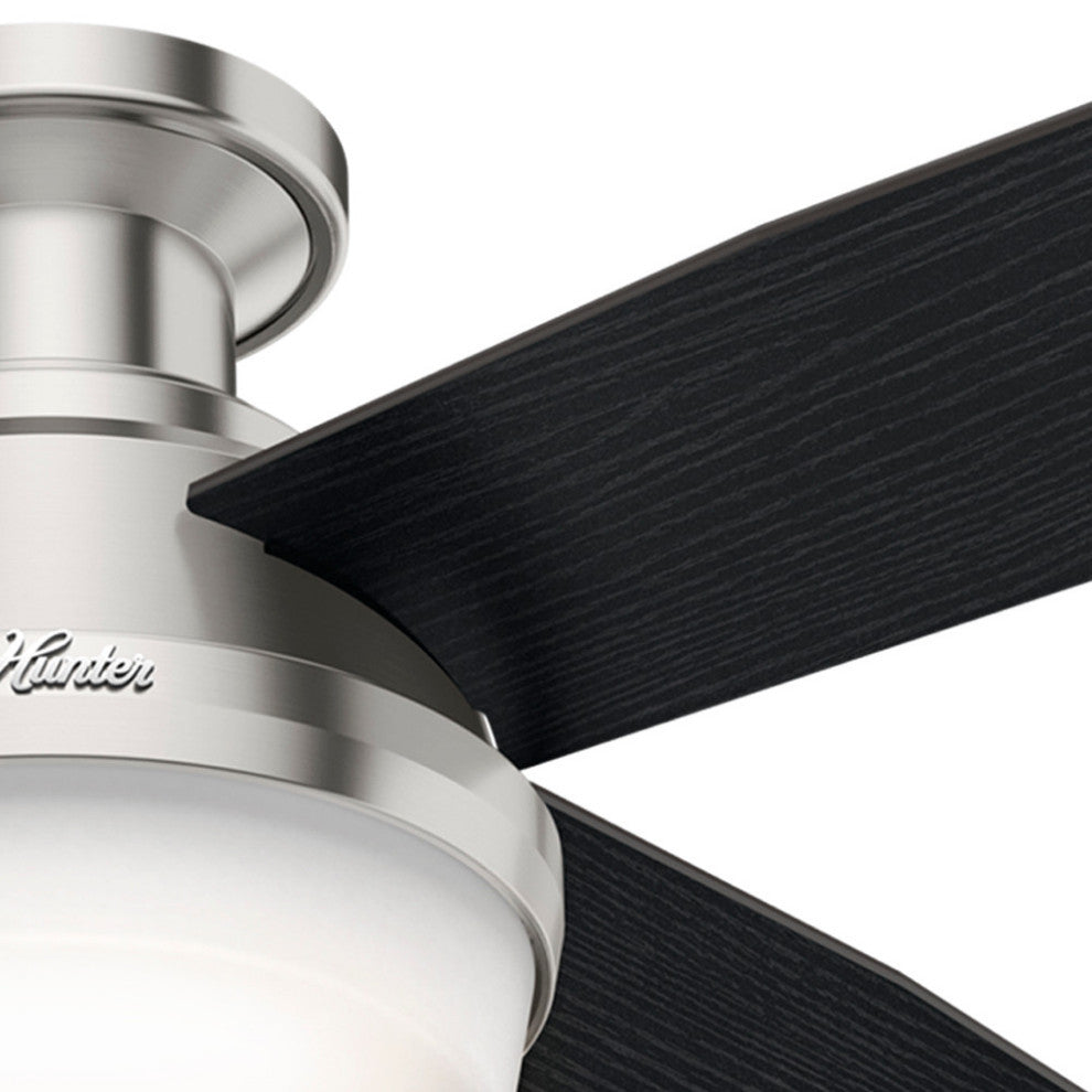 Hunter Fan Company 52" Dempsey LP Brushed Nickel Ceiling Fan With Light/Remote