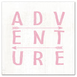 Adventure Arrows Pink 20x20 Canvas Wall Art