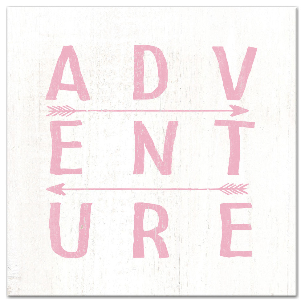 Adventure Arrows Pink 20x20 Canvas Wall Art