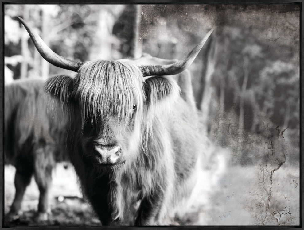 32x24 Highland VI, Framed Artwork, Black