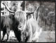 32x24 Highland VI, Framed Artwork, Black