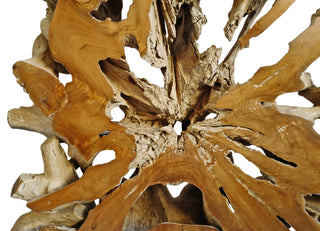 Large Organic Teak Root Form