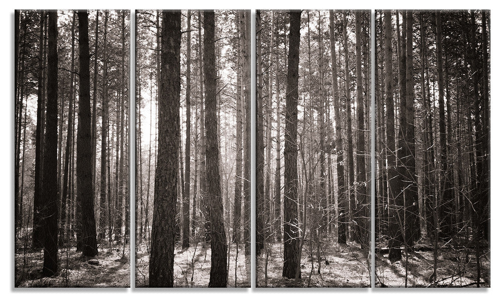 Beautiful Misty Forest in the Autumn, Forest Canvas Art Print, 48"x28", 4 Panels