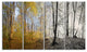 Yellow Morning in Forest Panorama, Landscape Canvas Art Print, 48"x28", 4 Panels