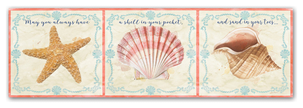 Jean Plout 'Sea Shells 4' Canvas Art, 16x47