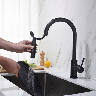 Brass Single Handle Pull Out Kitchen Faucet, Matte Black