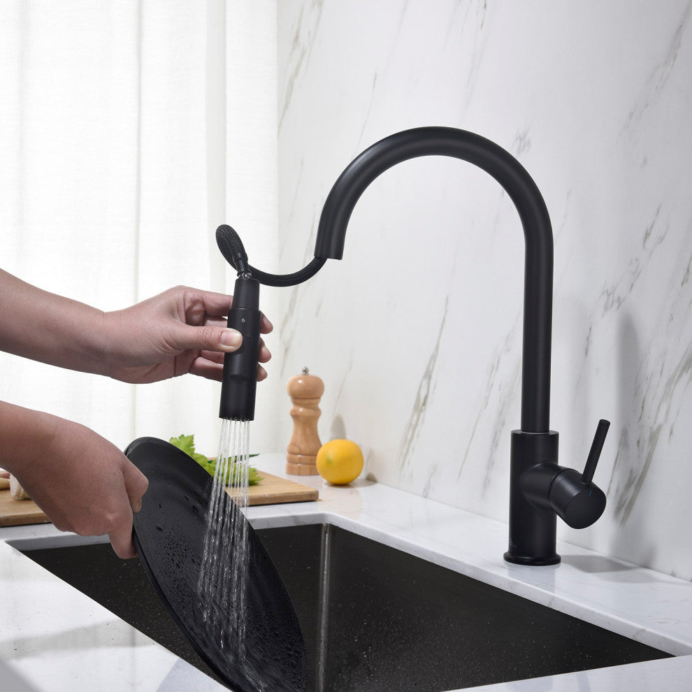Brass Single Handle Pull Out Kitchen Faucet, Matte Black