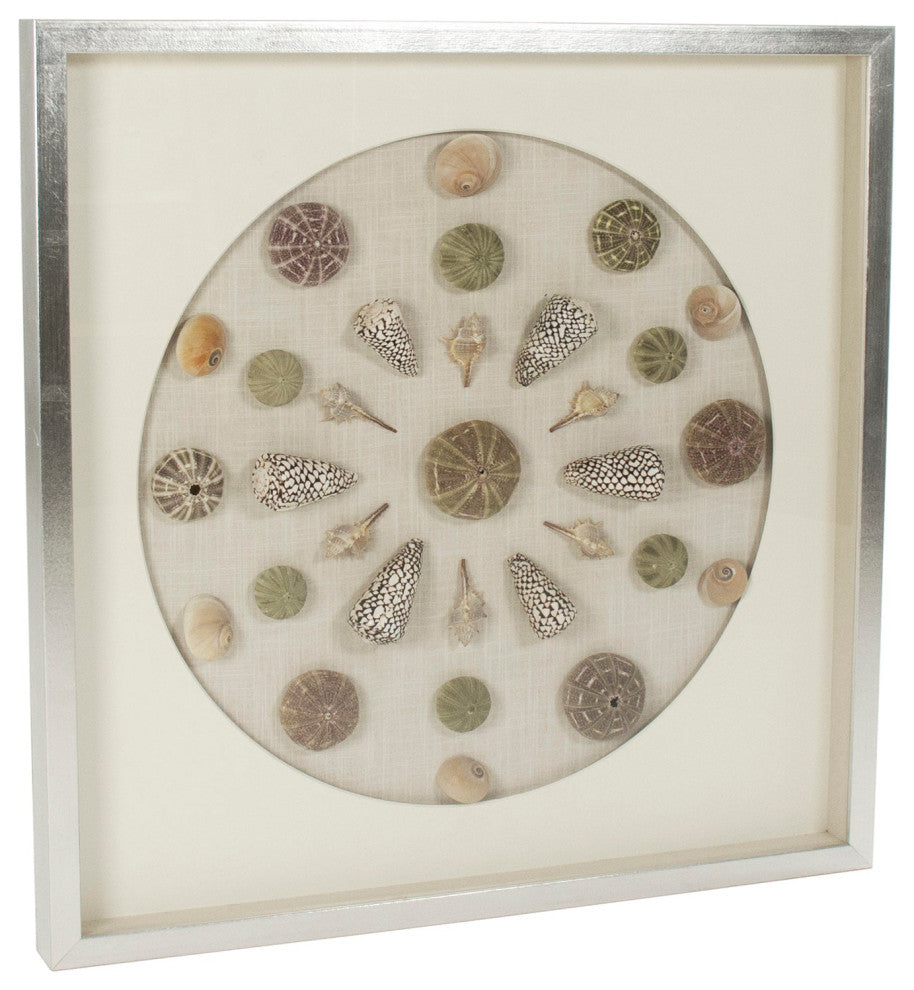 Abstract Shell Wall Art