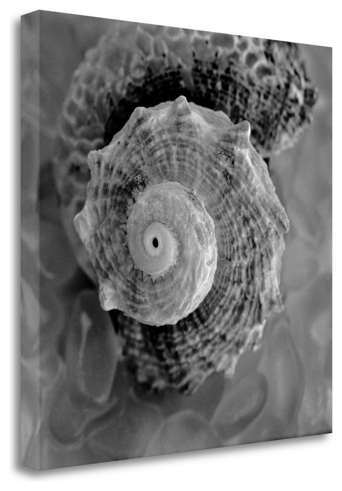 "Crystal Cove - 41" By Alan Blaustein, Giclee Print on Gallery Wrap Canvas