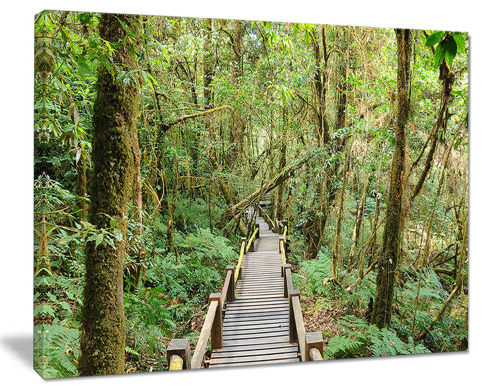 "Walk Way in Deep Forest" Landscape Canvas Photo Print, 20"x12"