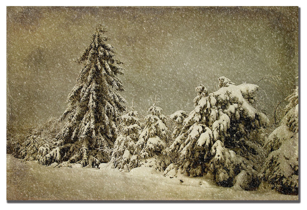 'Winters Wrath with Snow' Canvas Art by Lois Bryan