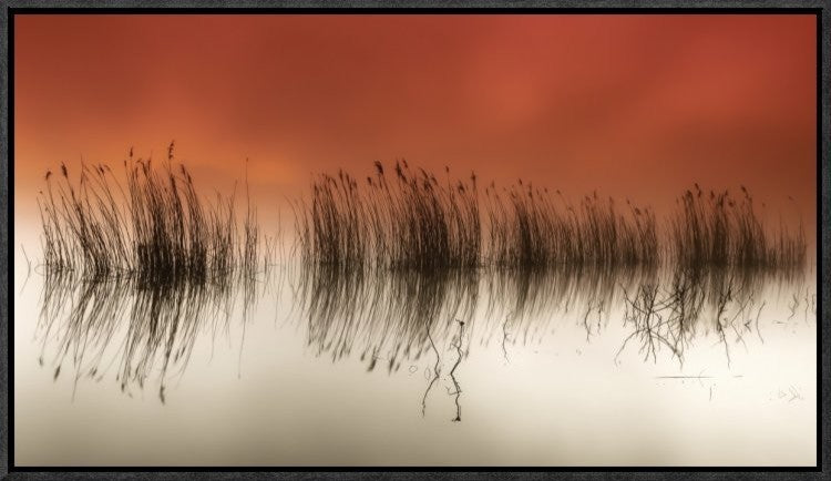 "Serenity" Framed Canvas Giclee by Rui David, 23x13"