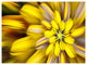Massive Yellow Fractal Flower, Floral Canvas Art Print, 40"x30"