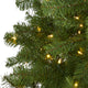 6' Springfield Artificial Christmas Tree With 300 Warm Clear Lights and 596 Tips