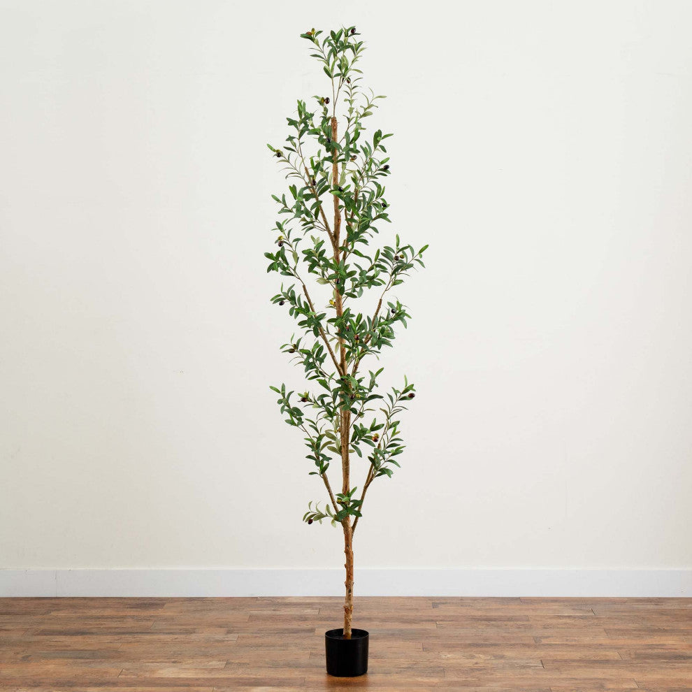 Full tree on white background (alternate_white_full).