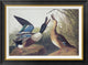 "Shoveller Duck" Framed Canvas Giclee by John James Audubon, 30x22"