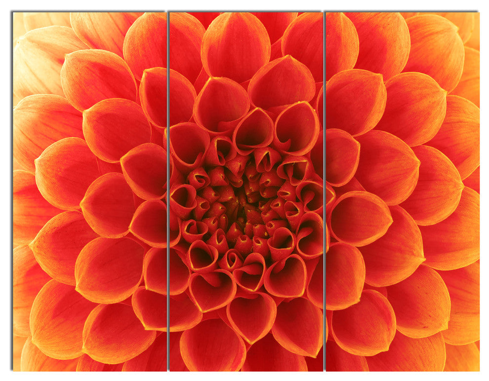 Orange Abstract Flower Petals, Floral Triptych Canvas Art Print, 36x28, 3 Panels