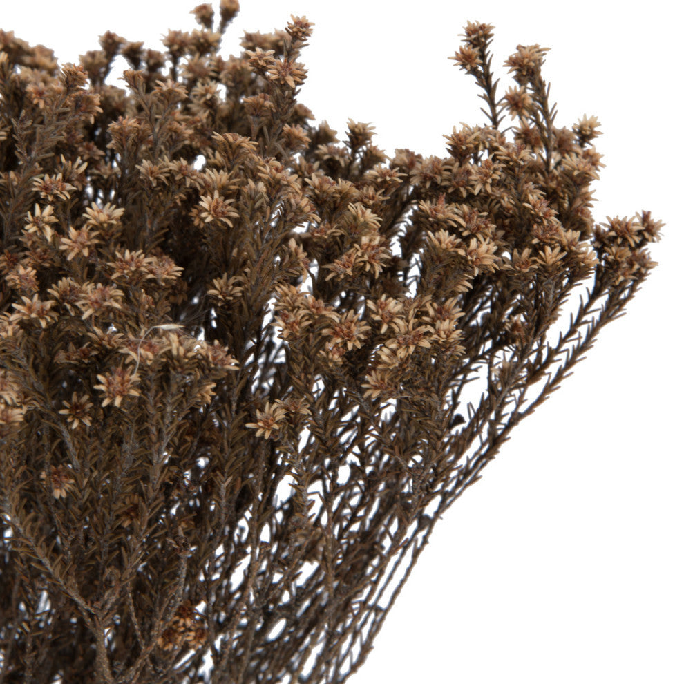 Natural Botanicals 19" x 4" Staavia, 100 grams per Unit , Natural, 19" x 4"