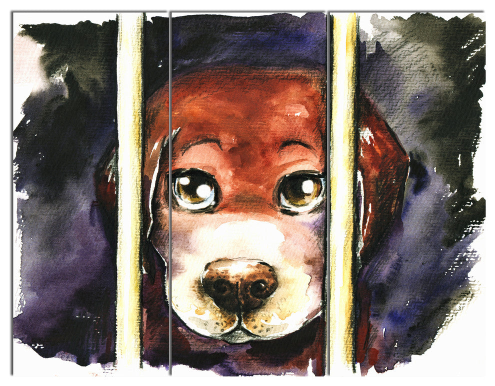 Sad Dog in Animal Shelter, Abstract Triptych Canvas Art Print, 36x28, 3 Panels