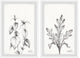 Nettle and Eucola Diptych, 2-Piece Set, 20x30 Panels