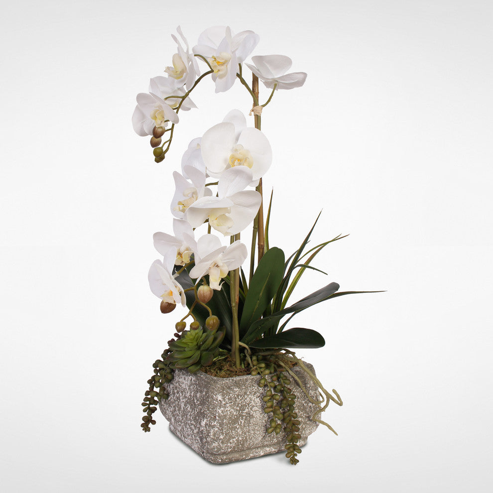 Real Touch Phalaenopsis Orchids With Succulents, Concrete Pot