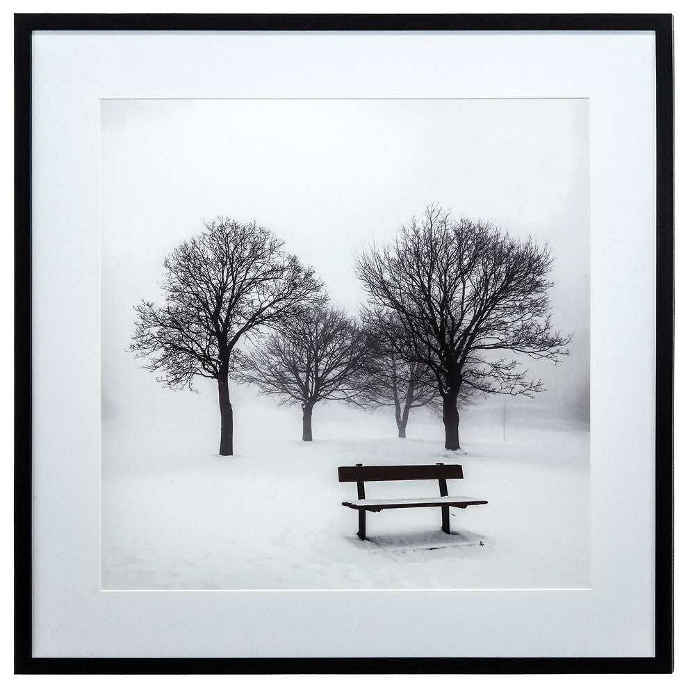 Winter's Morning Fog III