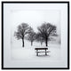 Winter's Morning Fog III