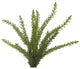 17" Heather Fern Bush, Set of 3
