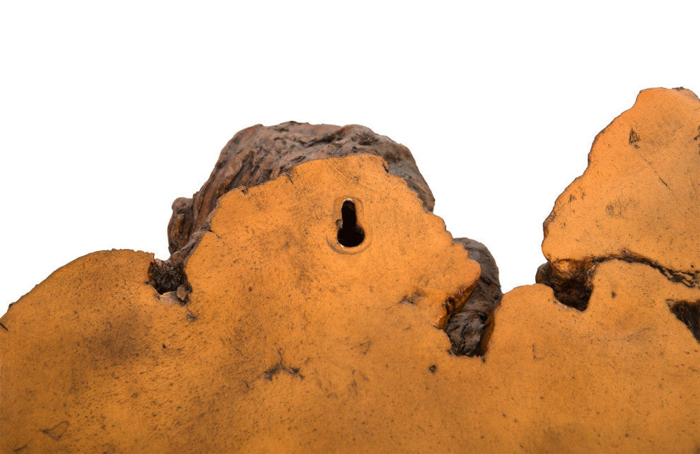 Burled Root Wall Art, Faux Bois