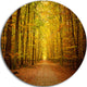Pathway In Green Autumn Forest, Photo Disc Metal Wall Art, 11"