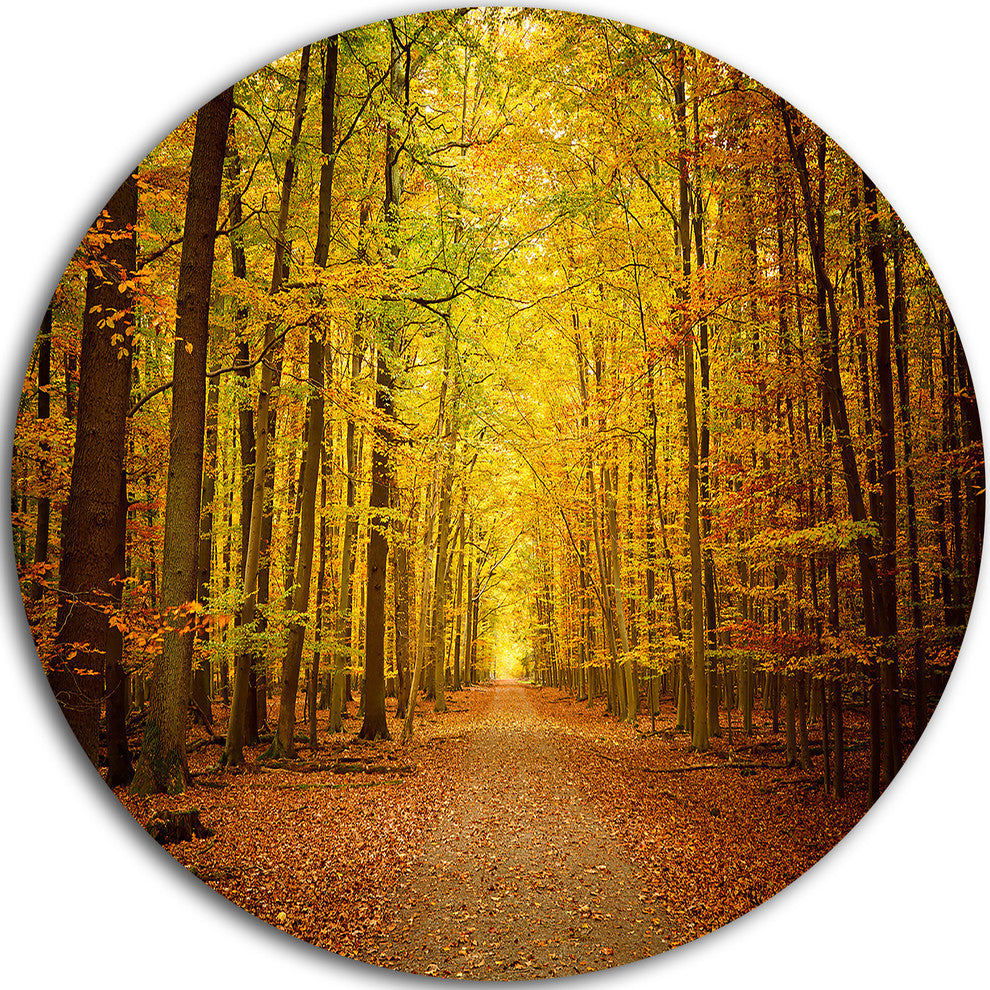 Pathway In Green Autumn Forest, Photo Disc Metal Wall Art, 11"