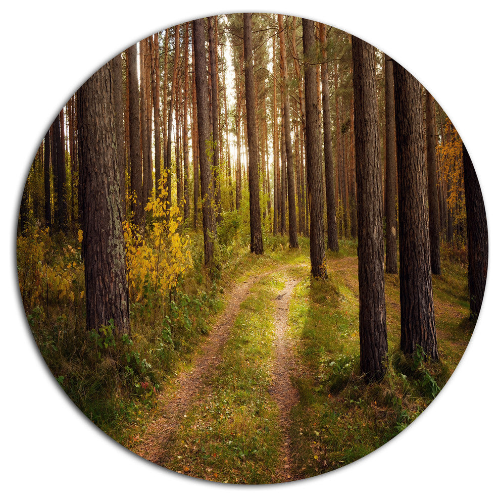Road Through Thick Fall Forest, Modern Forest Disc Metal Wall Art, 23"