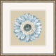Daisy 4, Giclee Reproduction Artwork