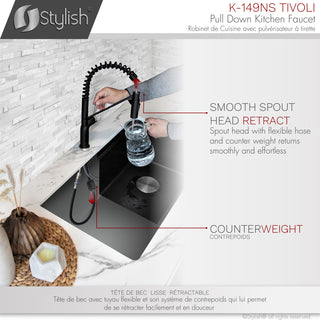 STYLISH Single Handle Pull-Down Dual Mode Kitchen Faucet in Matte Black