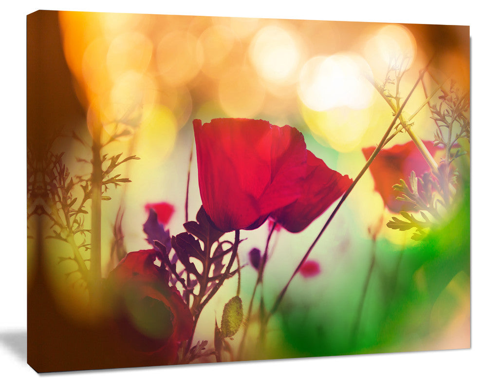 Poppy Flowers with Bokeh Background, Floral Canvas Art Print, 40"x30"