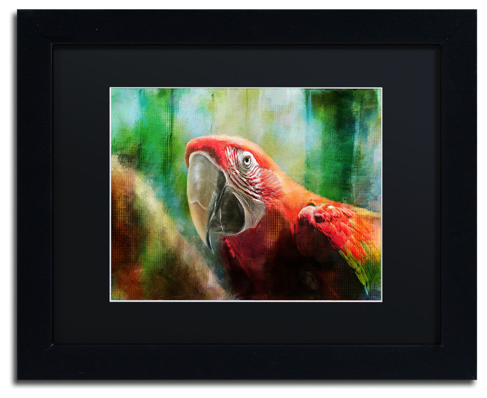 Lois Bryan 'Green Winged Macaw' Art, Black Frame, Black Matte, 14"x11"