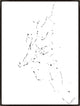 36x48 la danse des _toiles II, Framed Artwork, Espresso