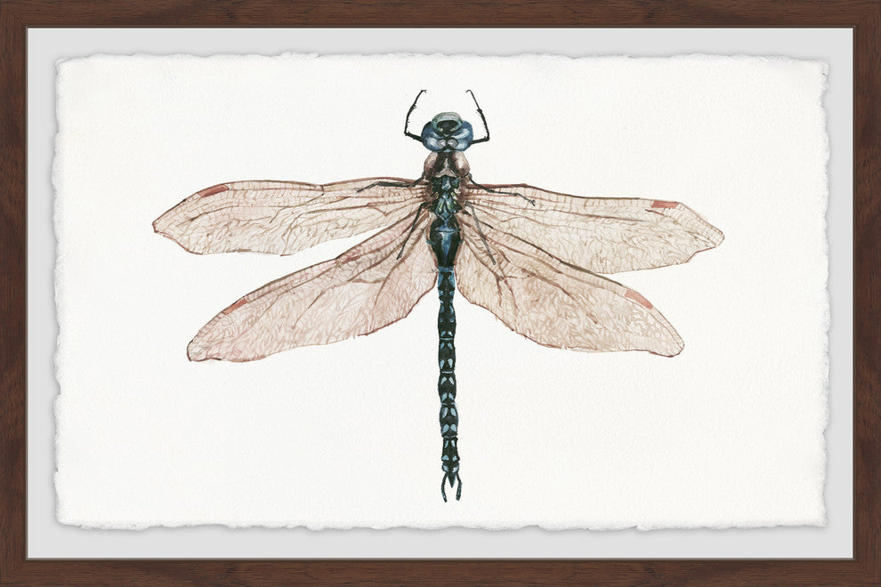 "Dual Wings" Framed Painting Print, 30"x20"