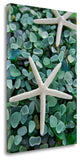 "Crystal Harbor - 21" By Alan Blaustein, Giclee Print on Gallery Wrap Canvas