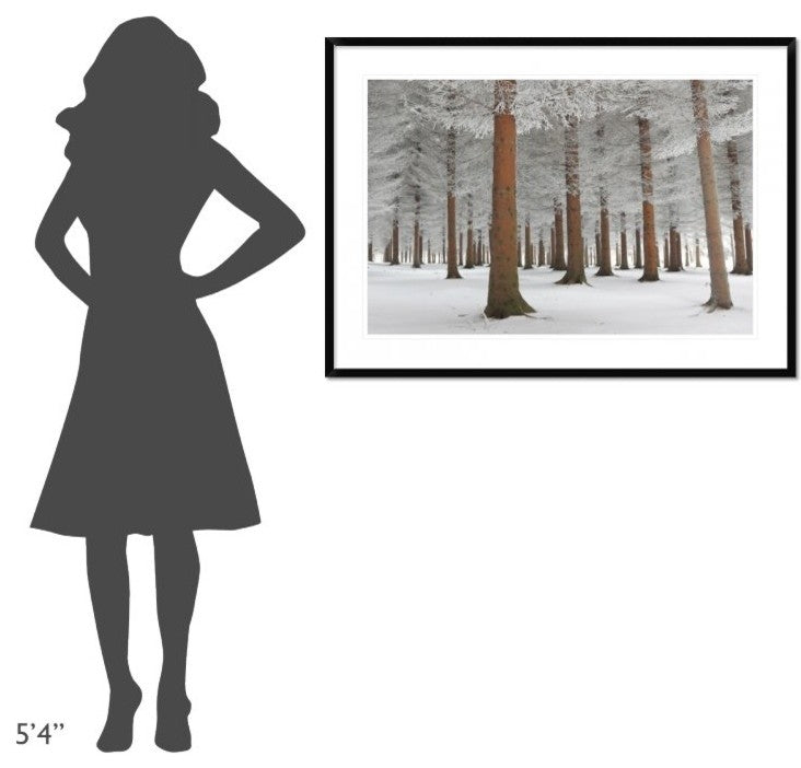 "In White" Framed Digital Print by Dragisa Petrovic, 44x32"