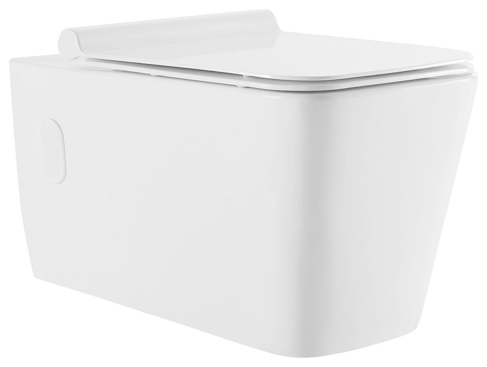 Concorde Wall hung Toilet Bowl, Black Hardware