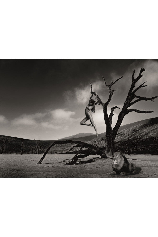 Monochrome Photographic Artwork | Andrew Martin Lion Gymnast, Large