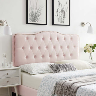 Sophia Tufted Performance Velvet Twin Headboard Pink