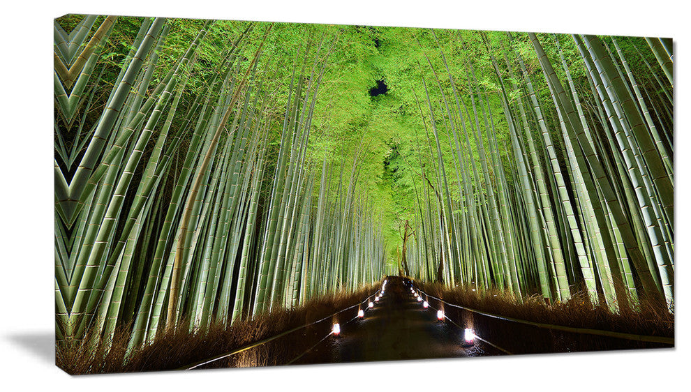 Beautiful Bamboo Forest Panorama, Landscape Canvas Art Print, 32"x16"